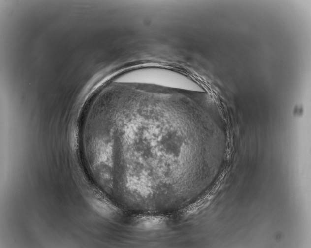 X0000099510247200805221428