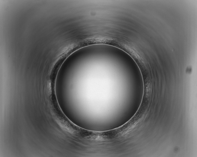 X0000099510254200805221428