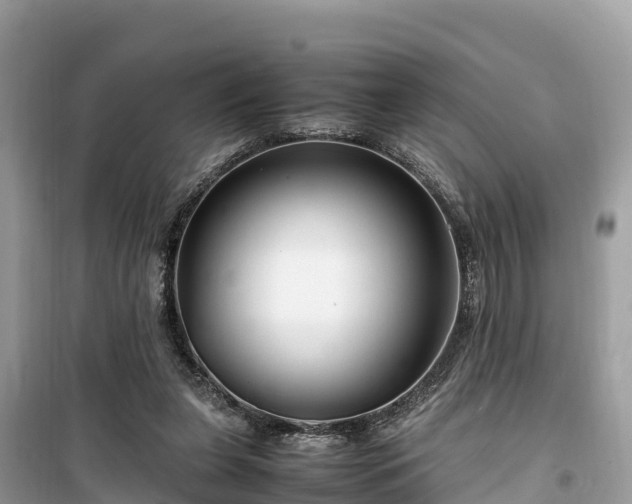 X0000099510255200805221428