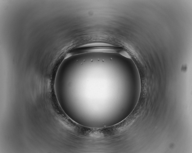 X0000099510258200805221428