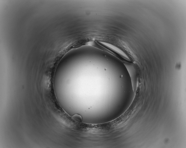 X0000099510259200805221428