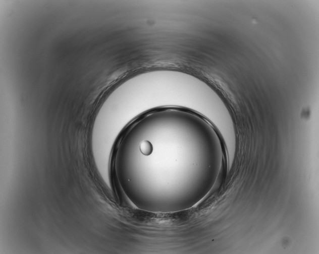 X0000099510260200805221428
