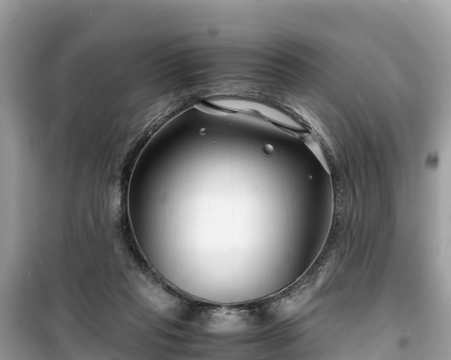 X0000099510261200805221428