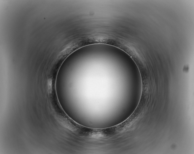 X0000099510262200805221428