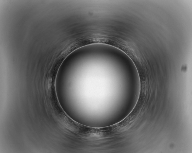 X0000099510263200805221428