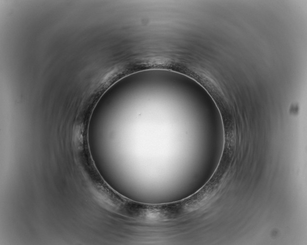 X0000099510264200805221428