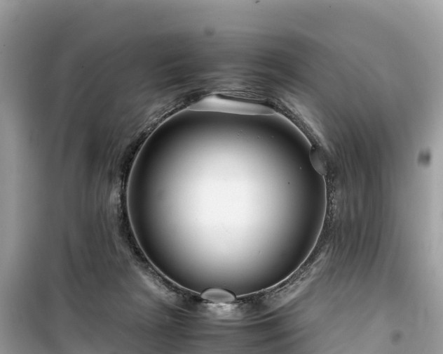 X0000099510265200805221428