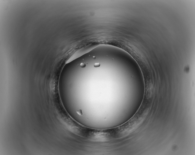 X0000099510268200805221428