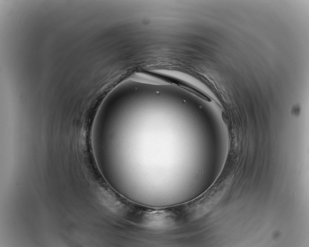 X0000099510269200805221428