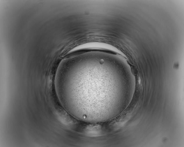 X0000099510271200805221428