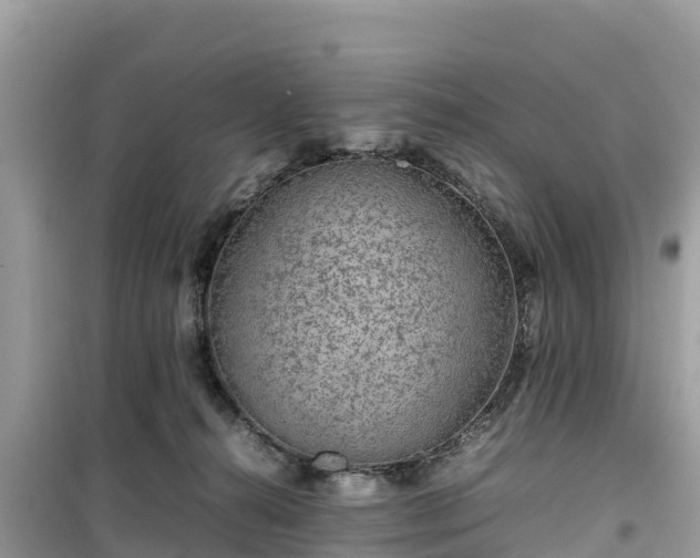 X0000099510272200805221428