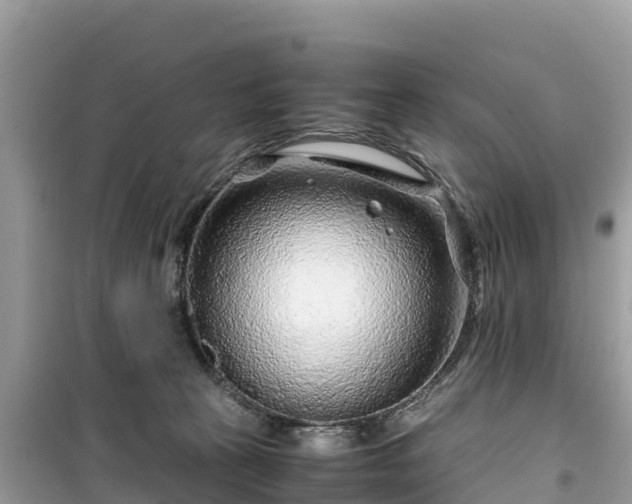 X0000099510273200805221428