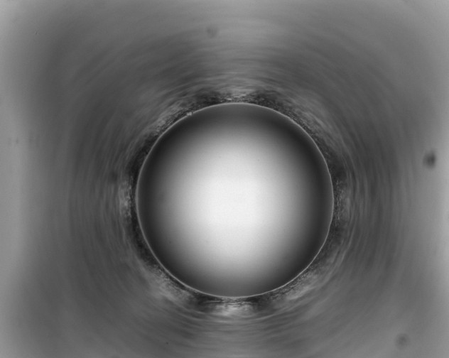X0000099510274200805221428