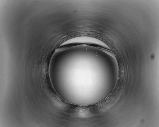 X0000099510275200805221428