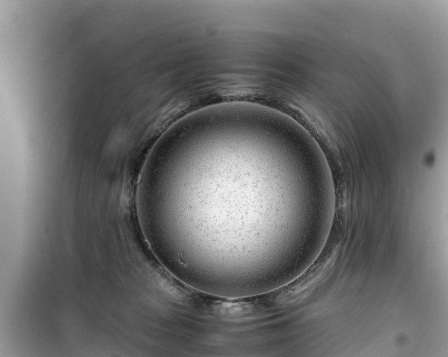 X0000099510277200805221429