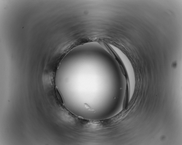 X0000099510280200805221429