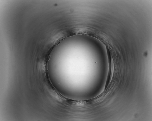 X0000099510282200805221429