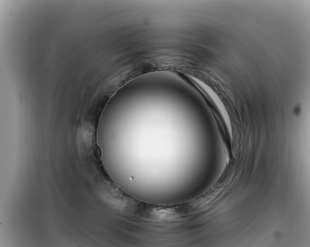 X0000099510283200805221429