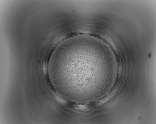 X0000099510285200805221429