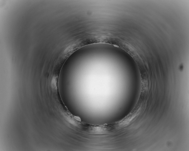X0000099510286200805221429