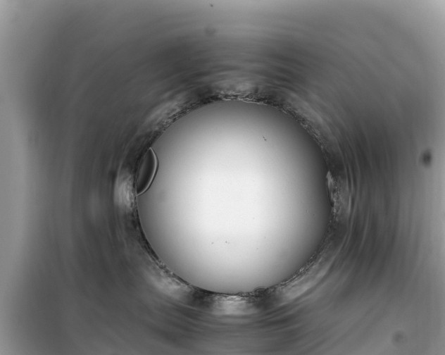 X0000099510287200805221429