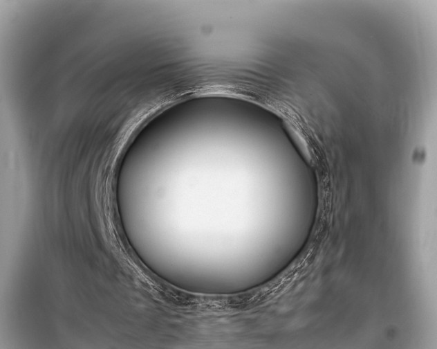 X0000099510289200805221428