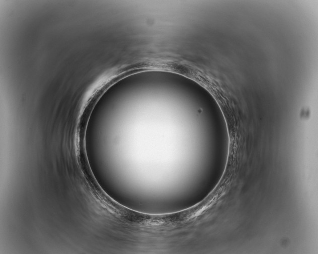 X0000099510294200805221428