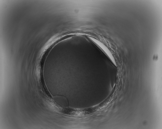 X0000099510295200805221428