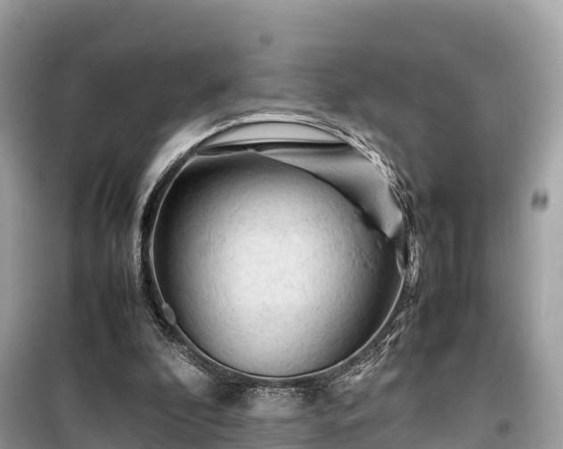 X0000099510296200805221428