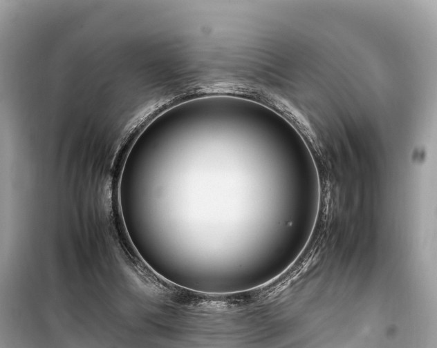 X0000099510298200805221428