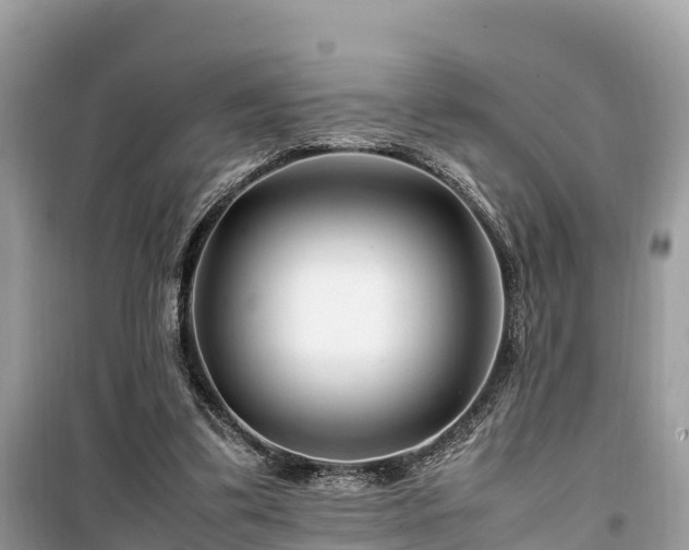 X0000099510299200805221428