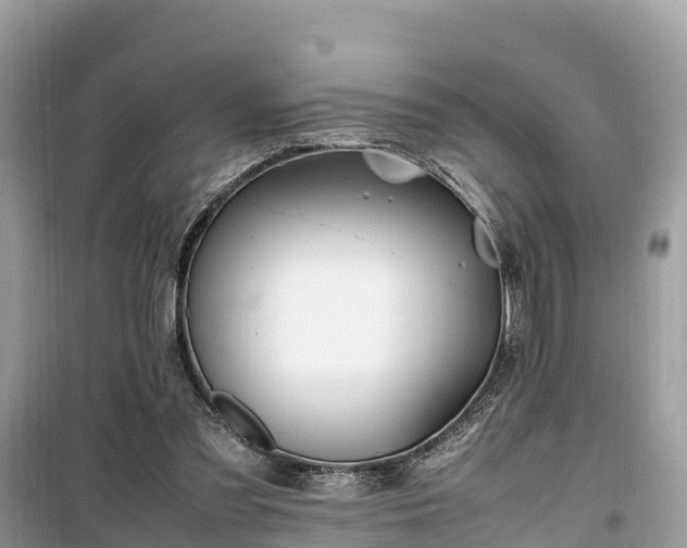 X0000099510301200805221428