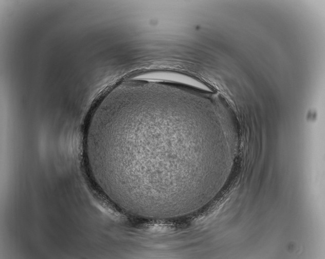X0000099510303200805221428