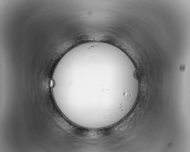 X0000099510305200805221428