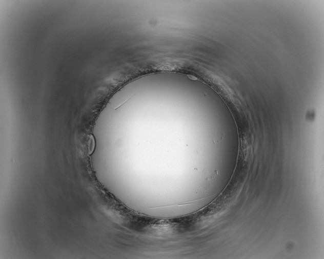 X0000099510307200805221428