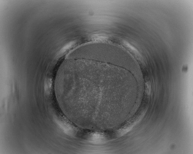X0000099510308200805221428