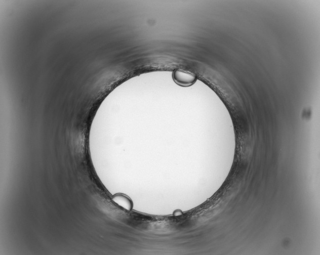 X0000099510309200805221428