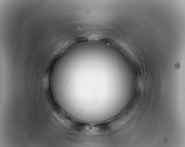 X0000099510311200805221428