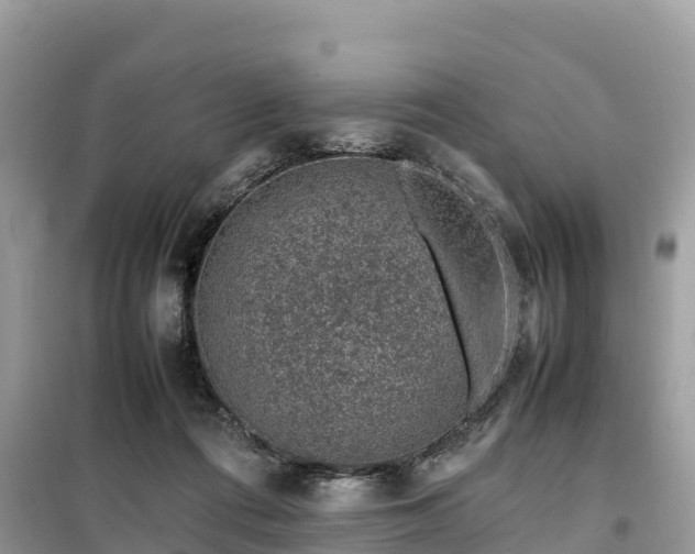 X0000099510312200805221428