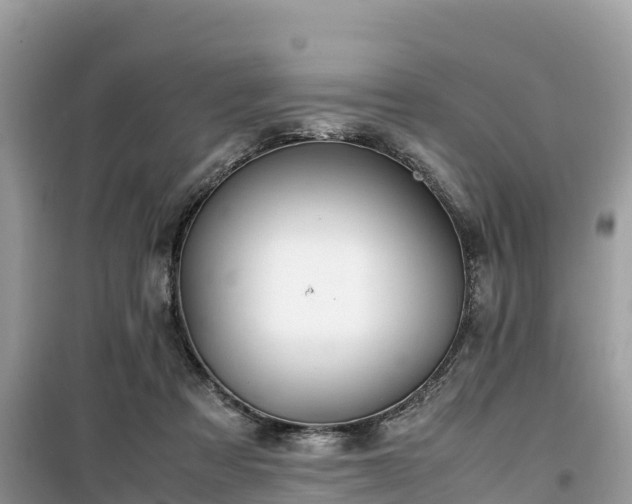 X0000099510313200805221428
