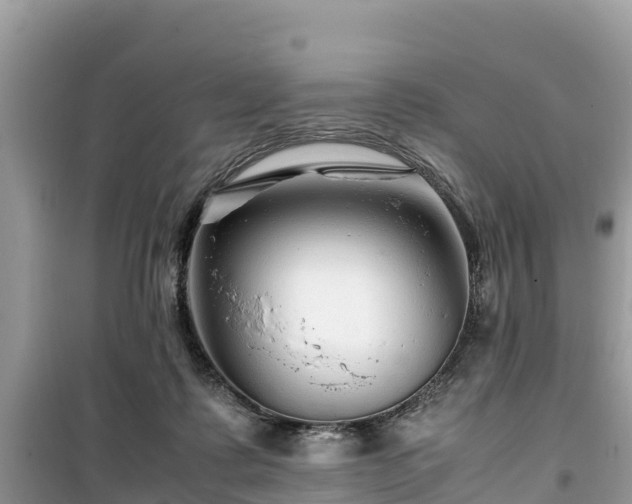 X0000099510315200805221428
