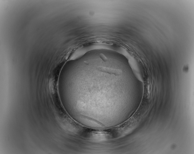 X0000099510316200805221428