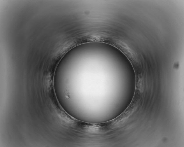 X0000099510318200805221428