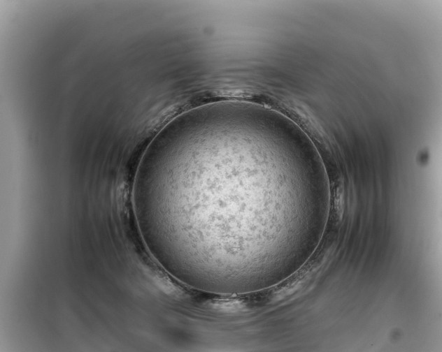 X0000099510322200805221428