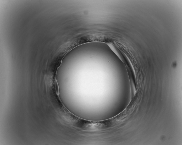 X0000099510323200805221428