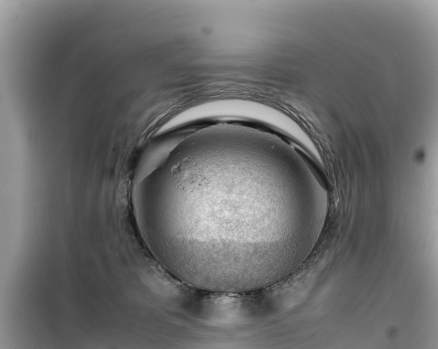X0000099510325200805221428