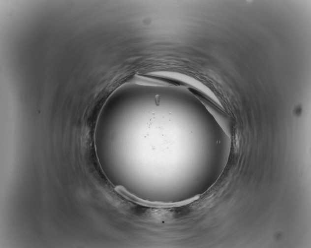 X0000099510327200805221428