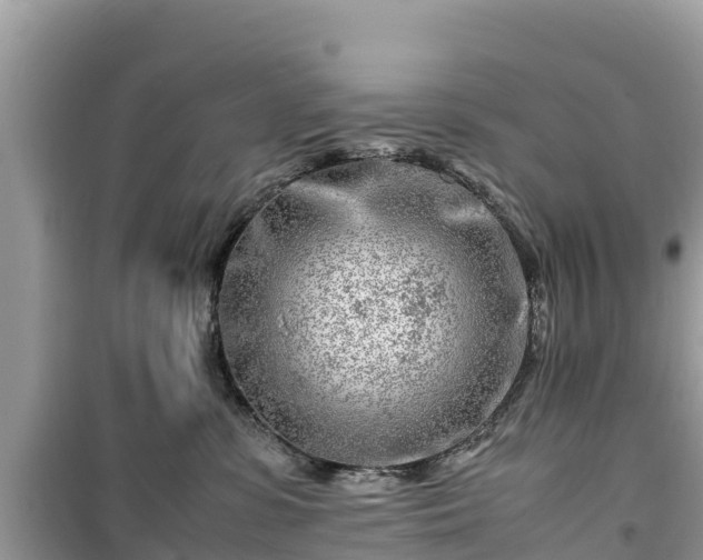 X0000099510331200805221427