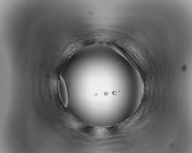 X0000099510333200805221427