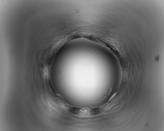 X0000099510335200805221427